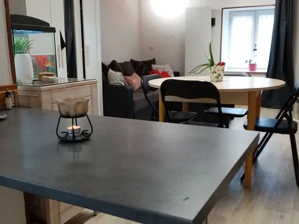 T2 meublé 37m2 - Saint-Romain-le-Puy