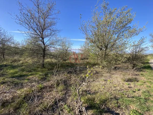 Terrain agricole de 2281 m2 entièrement plat ( BAGES )