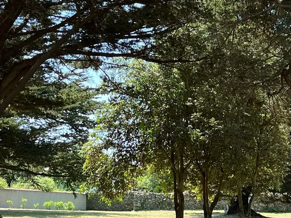 Vends terrain 1500m² Île d'Yeu