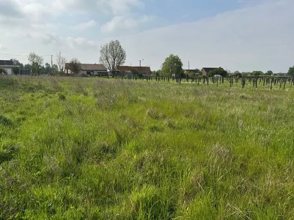 Terrain 7398 m²