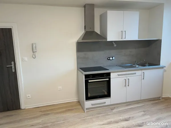 Sarre-Union — Charmant 1-2 pièces rénové de 44m² à louer
