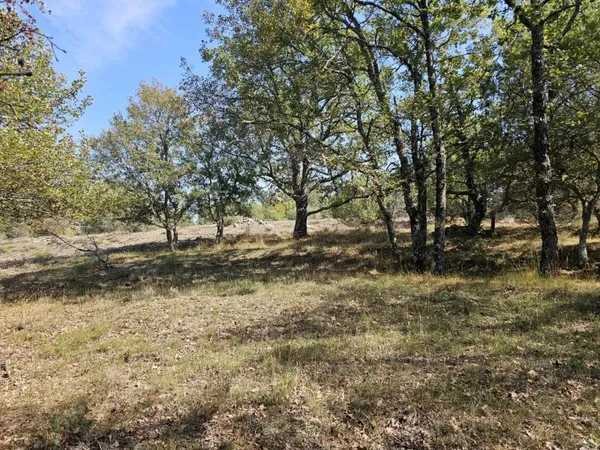 Terrain boisé au calme – accès par piste – cadre naturel préservé