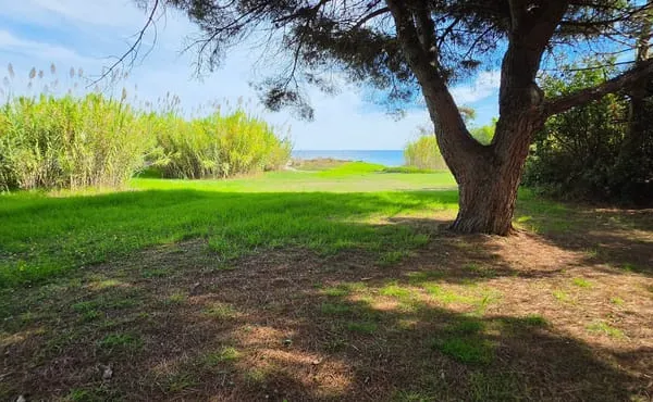 Appartement à vendre T3 dans Résidence pied dans l'eau - POGGIO MEZZANA (20)
