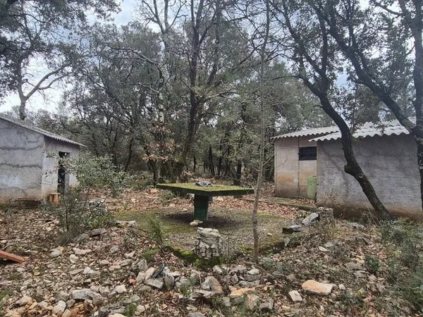Terrain de loisirs -5000m2- mazets