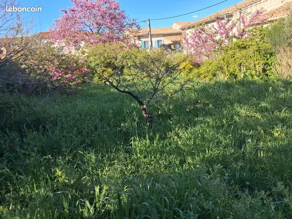 Petit terrain constructible