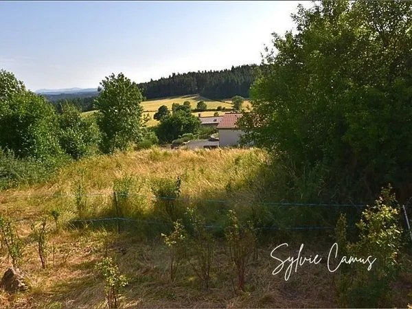 Terrain à vendre de 1 200,00 m² SAINT PAL DE MONS (43)