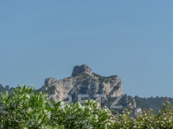 Mas rénové au calme et à pied du centre-ville avec vue sur les Alpilles