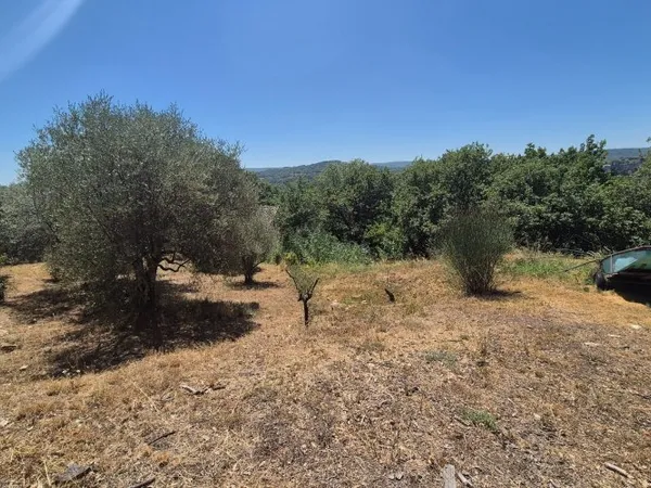 Terrain 1133 m²