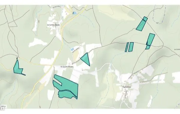 Bois et terrain