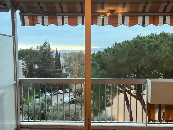 Appartement 1 pièce 31 m²