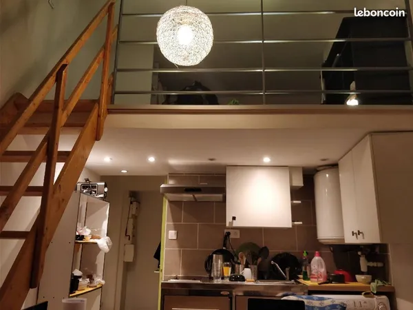 Lyon 3 - Saxe Gambetta - Studio Esprit Loft + Mezzanine