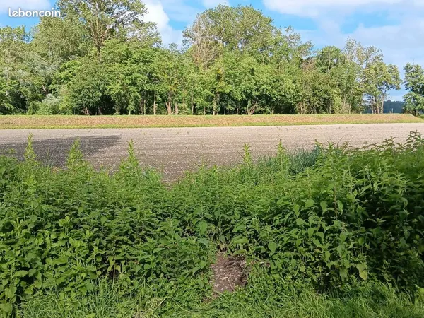 Vends terrain agricole 3,7 ha