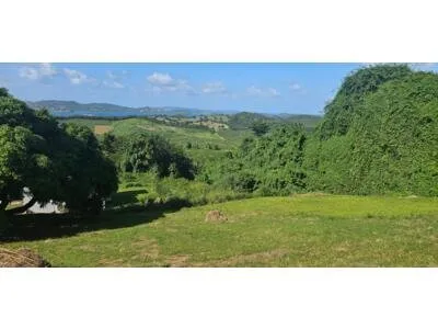 Terrain de 1 034 m² entre nature préservée et potentiel constructible