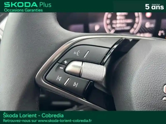 Skoda Fabia 1.0 tsi evo2 116ch clever edition dsg7 — photo 15
