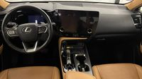 Lexus Nx 450h+ Executive 4WD — photo 11