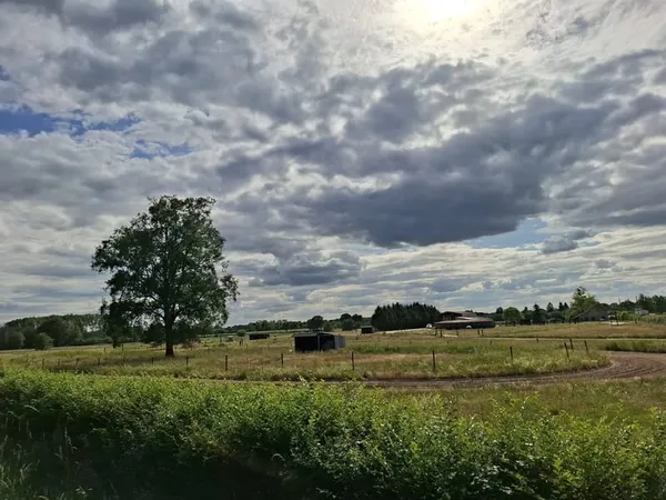 Propriété équestre sur plus de 5 hectares - Secteur Forêt