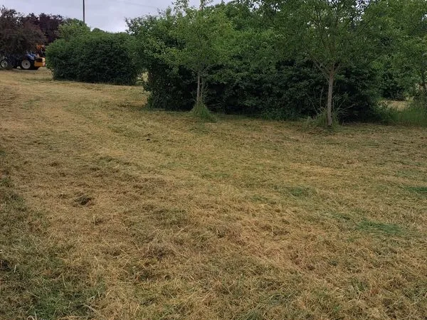 Terrain agricole