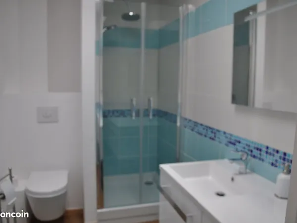 Chambre 17m2 dans grand appartement