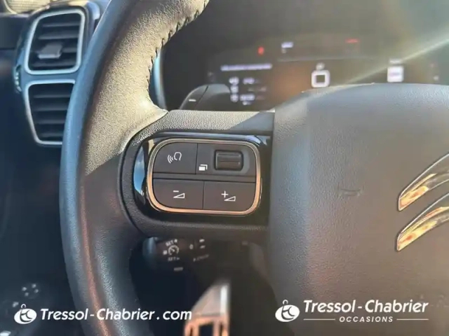 Citroën C5 Aircross bluehdi 130 s&amp;s eat8 shine — photo 19