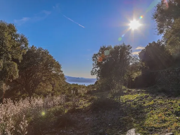 Terrain 5779 m²