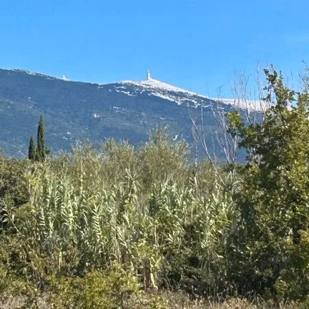 Terrain Agricole à Bédoin (4400m2) - Cadre naturel - Eau en bordure - Vue Ventoux