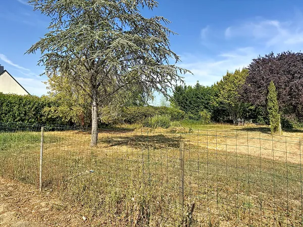 Terrain à vendre de 568 m² à Les Hauts d'Anjou - Réf. 3035