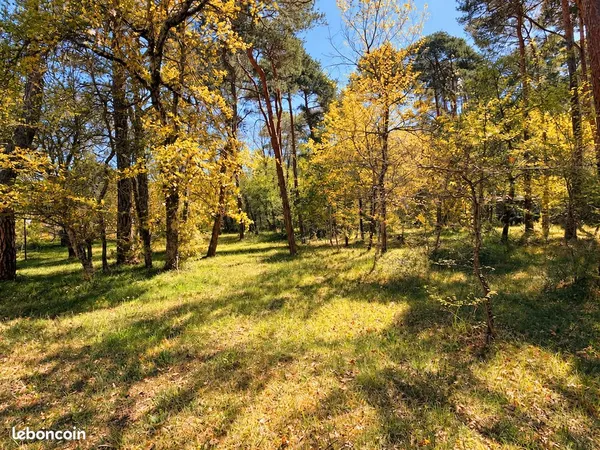 Joli terrain plat viabilisé de 740m²