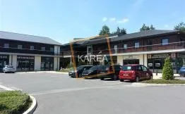 Local professionnel 21 m²