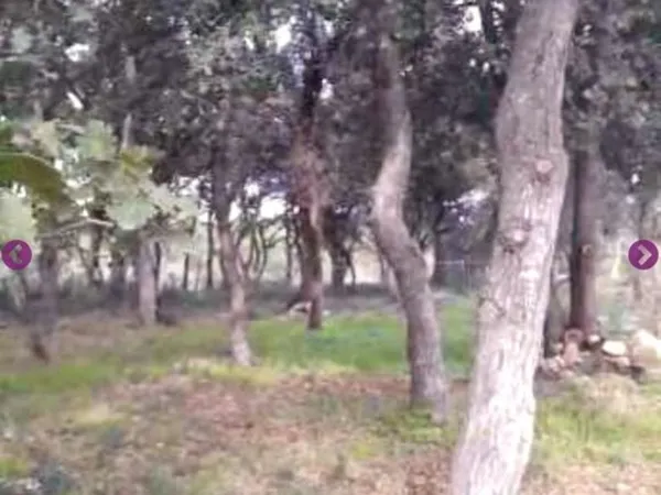 Terrain de >1700 m2