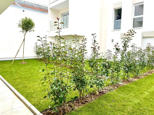 Appartement 1 pièce 31 m²