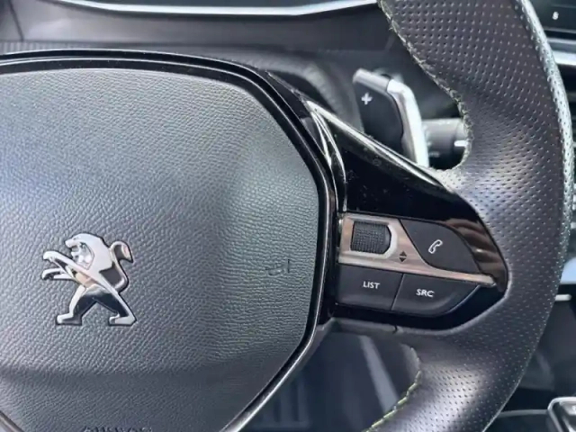 Peugeot 2008 1.5 bluehdi 130ch s&amp;s gt pack eat8 125g — photo 15