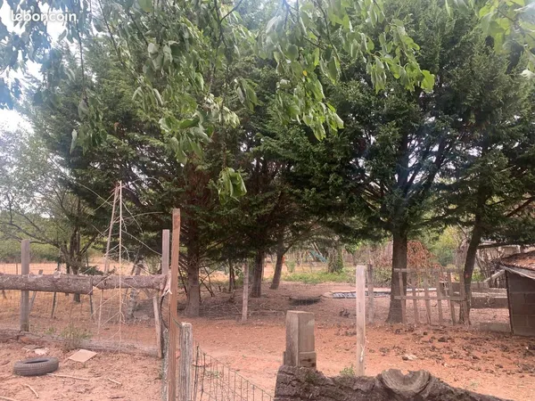 Terrain (possibilité de maison)