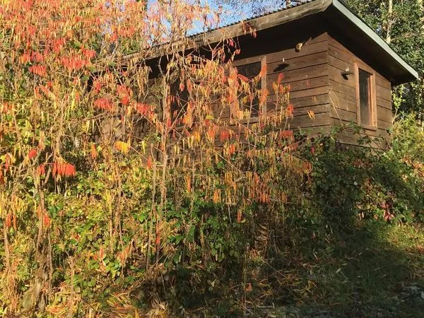 Vent cabane dans forets haut de Saint Lupicin
