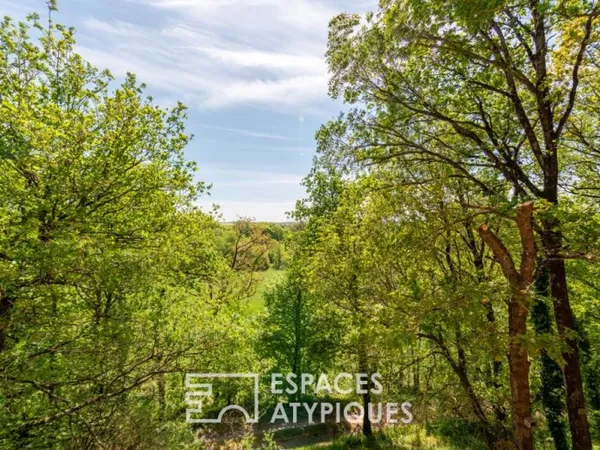 Maison d'architecte avec vue connectée à la nature