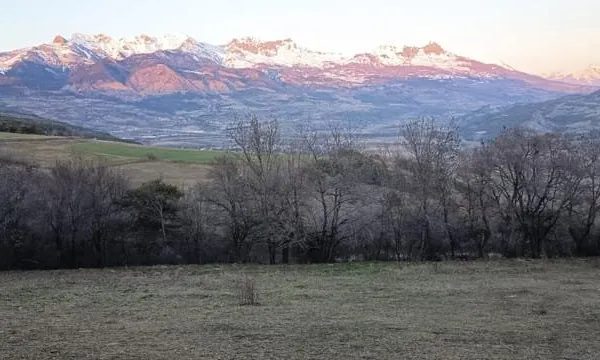 NOUVEAUTE TERRAINS AVANCON