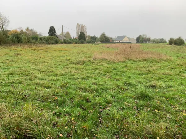 Terrain 7310 m²