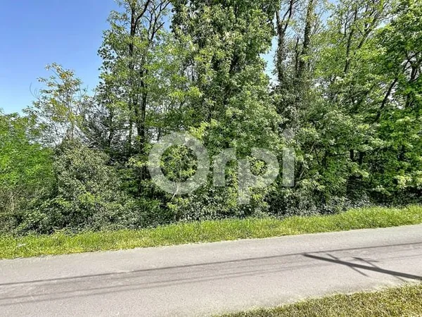 Terrain 5322 m²