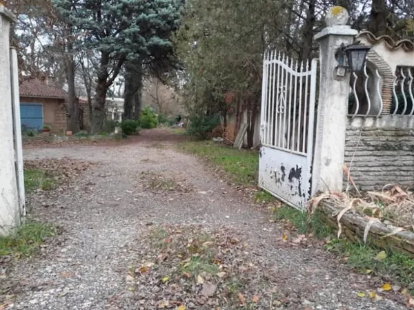 Terrain 556 m²