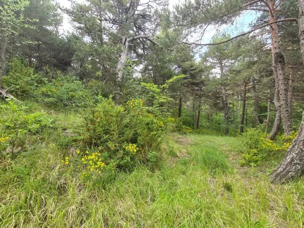 THORENC :   Magnifique terrain de 2 578 m²