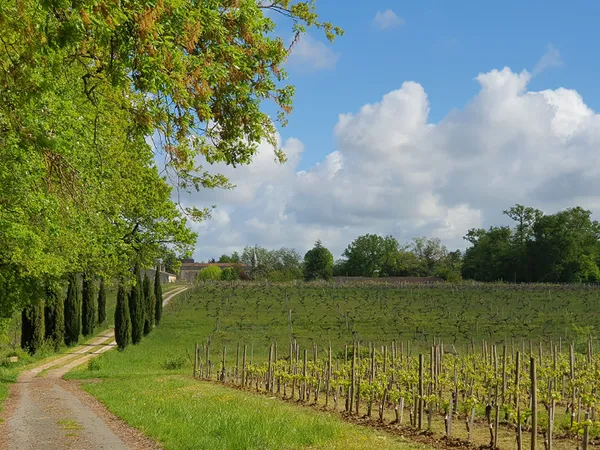 Château à VENDRE