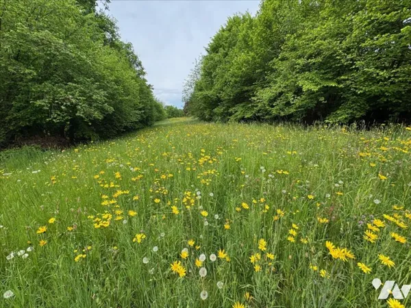 Terrain 732 m²