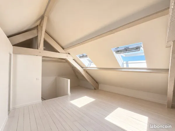 Triplex rénové - Hyper centre