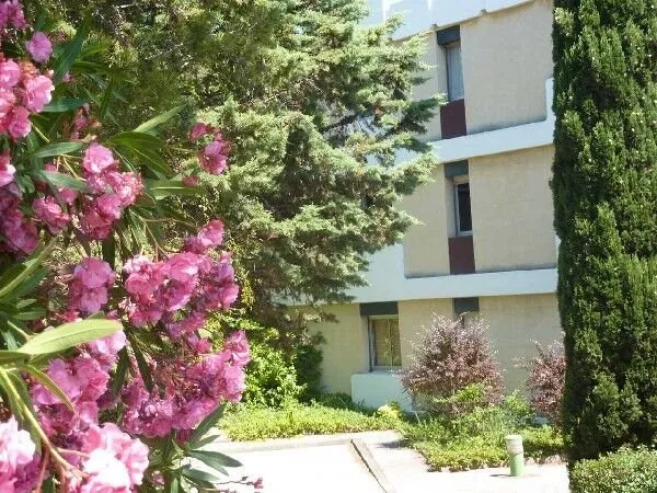 Appartement 1 pièce 30 m²