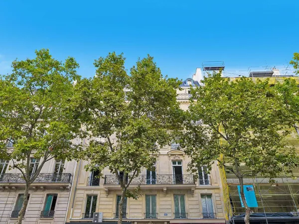 Bureau 335 m²