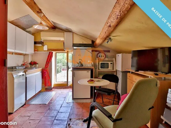 Studio 1 pièce 10 m²