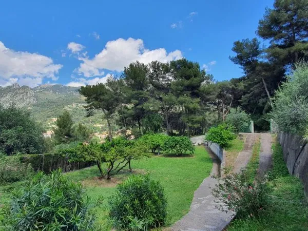 Terrain 2440 m²
