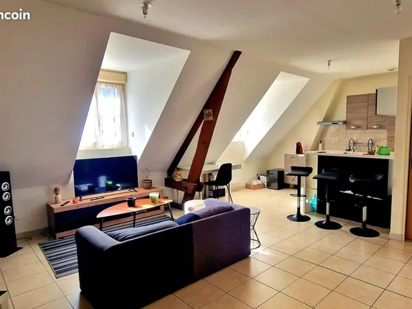 Appartement centre