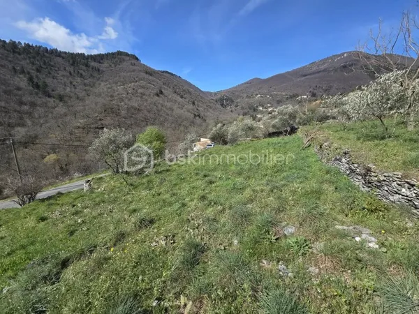 Terrain 960 m²
