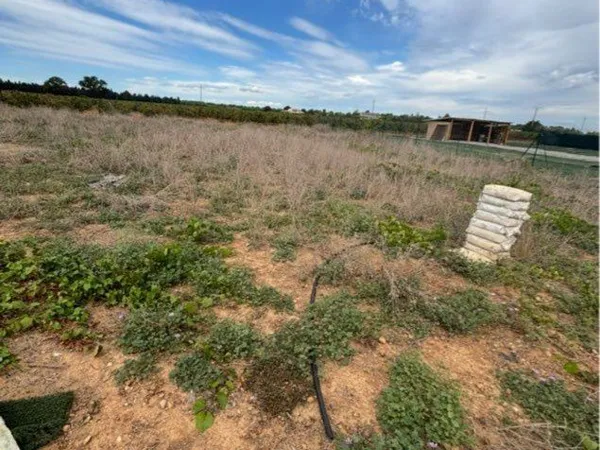 Terrain Vente Mauguio 1400m² 48000€