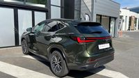 Lexus Nx 450h+ Luxe 4WD MY24 — photo 7